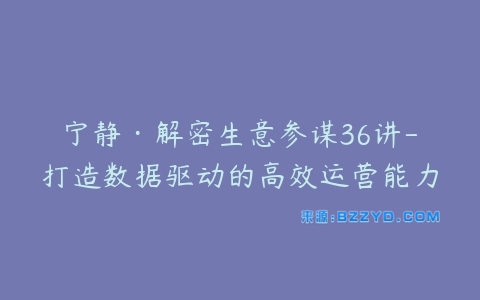 宁静·解密生意参谋36讲-打造数据驱动的高效运营能力-宝藏资源殿