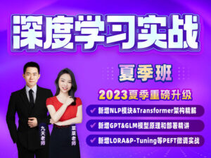 深度学习实战夏季班课程学习视频资源-数据技术课堂-宝藏资源殿
