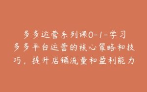 多多运营系列课0-1-学习多多平台运营的核心策略和技巧,提升店铺流量和盈利能力-宝藏资源殿