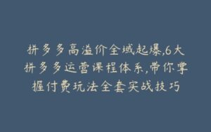 拼多多高溢价全域起爆,6大拼多多运营课程体系,带你掌握付费玩法全套实战技巧-宝藏资源殿