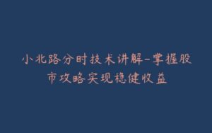 小北路分时技术讲解-掌握股市攻略实现稳健收益-宝藏资源殿