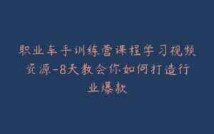 职业车手训练营课程学习视频资源-8天教会你如何打造行业爆款-宝藏资源殿