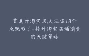 贾真开淘宝店,关注这18个点就够了-提升淘宝店铺销量的关键策略-宝藏资源殿