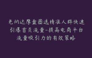 老衲达摩盘圈选精准人群快速引爆首页流量-提高电商平台流量吸引力的有效策略-宝藏资源殿
