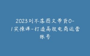 2023刘不落图文带货0-1实操课-打造高效电商运营账号-宝藏资源殿