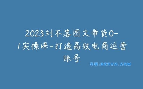 2023刘不落图文带货0-1实操课-打造高效电商运营账号-宝藏资源殿