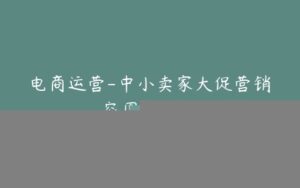 电商运营-中小卖家大促营销突围战课程-宝藏资源殿