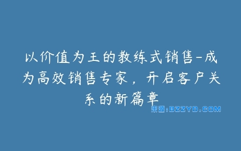 以价值为王的教练式销售-成为高效销售专家，开启客户关系的新篇章-宝藏资源殿