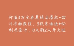 价值3万元春夏镇店爆款-四川凉面教程，3段炼油法+秘制凉面汁，0大厨2人开火旺店！-宝藏资源殿