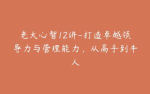老大心智12讲-打造卓越领导力与管理能力,从高手到牛人-宝藏资源殿