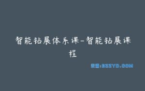 智能钻展体系课-智能钻展课程-宝藏资源殿