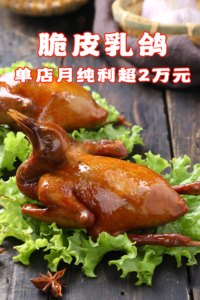 为啥成本12元冻鸽毛利高达36元-凭价值3万元秘制卤水,脆皮乳鸽单店月纯利超2万元-宝藏资源殿