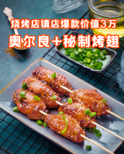 烧烤店镇店爆款-价值3万奥尔良+秘制烤翅配方视频，靠核心腌料+烤制手法，堂食+外卖日卖300根！-宝藏资源殿