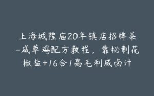 上海城隍庙20年镇店招牌菜-咸草鸡配方教程,靠秘制花椒盐+16合1高毛利咸卤汁,单月纯利近2万!-宝藏资源殿