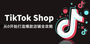 TikTok电商暴富秘籍:新手如何避开90%骗局,月入百万-宝藏资源殿